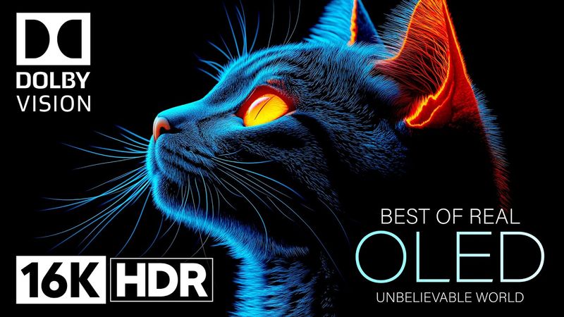 Unbelievable OLED DEMO 16K HDR 120fps Dolby Vision 16K Video ULTRA HD
