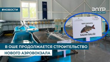 В УЗГЕНЕ ОТКРЫТ ЦЕХ ПО ВЫРАЩИВАНИЮ МОЛОДИ РЫБЫ