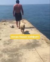 а вы купались этим летом в море?