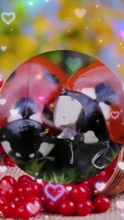 TikTok video #7022001272438017281