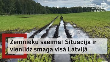 Zemnieku saeima: Ražas kvalitāte galvenajai eksporta kultūrai – kviešiem – ļoti strauji pasliktinās