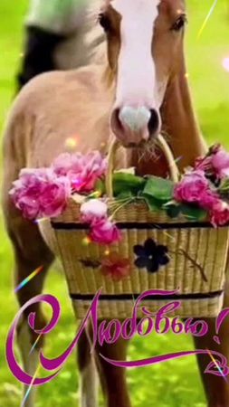 TikTok video #7003058108935294210