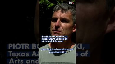 Ronioci kod Koločepa otkrivaju teret potopljenog broda iz 17. stoljeća