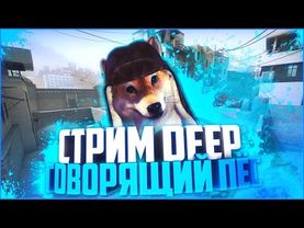 🔴СТРИМ CS:GO DEEP ГОВОРЯЩИЙ ПЁС ИГРАЕМ В ММ #FIXCSGO