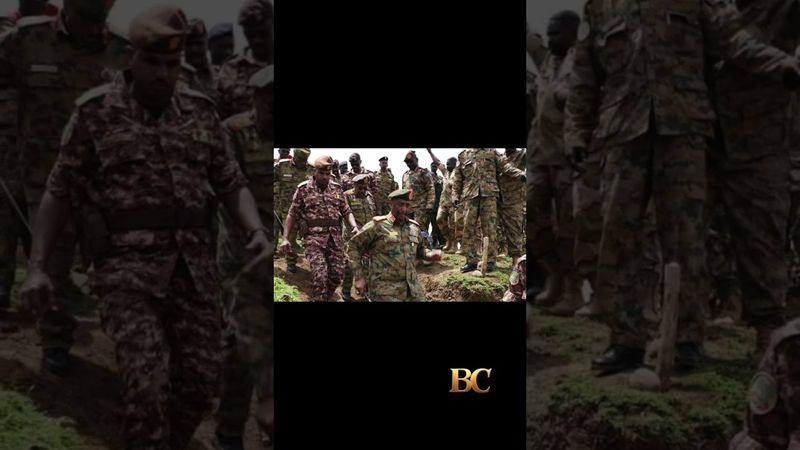 Drone attack destroys 16 trucks carrying UN food to Sudan’s famine-hit Darfur region