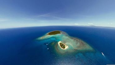 01 ORGANIC HOUSE MIX  -  AUGUST  (2025)