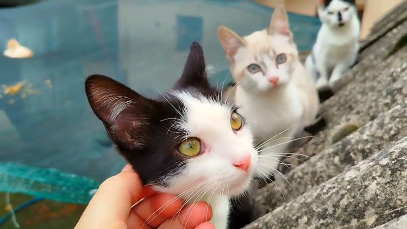 #Славянск. 6 октября 2025г. Вечер.