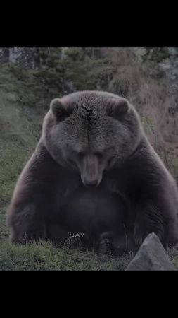 #onthisday #fyb #foyou #foryoupage #اکسبلورررررررررررررررررررر❤🧸 