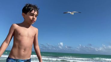 alimentando gaivotas em miami