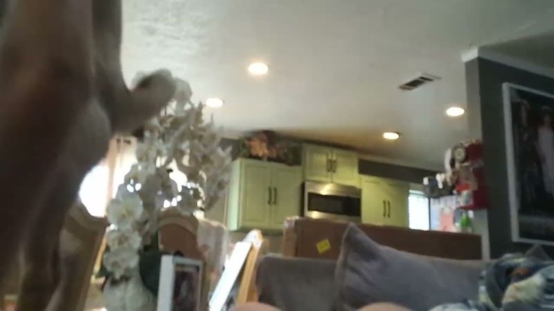 Look at this is so funny.