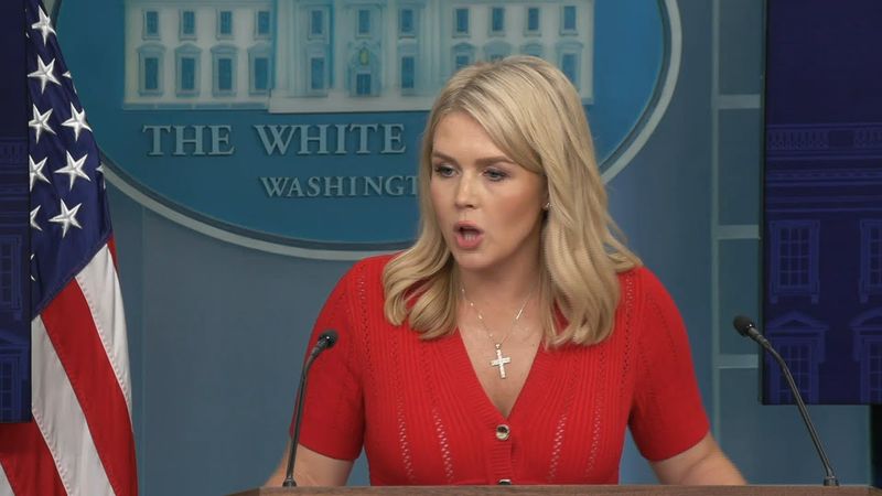 Israel approved Trump's Gaza truce plan: White House | AFP