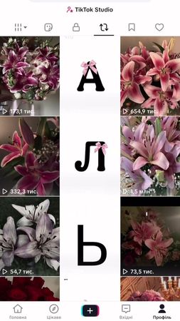 #альбина #альбиналп #рекомендации #цветы 