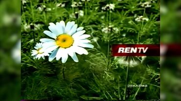 Рекламные блоки и анонсы (3 канал / REN-TV (г. Ростов-на-Дону), 8 мая 2006) [2160p]