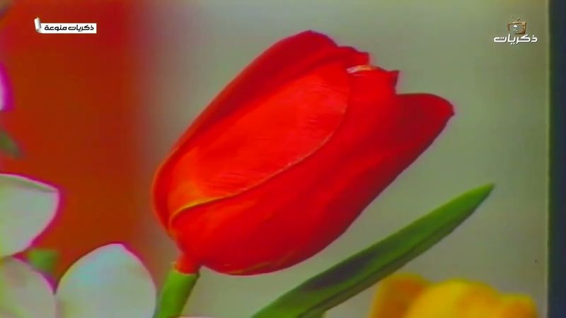 ذكريات منوعة لعدة فنانيين متنوعين