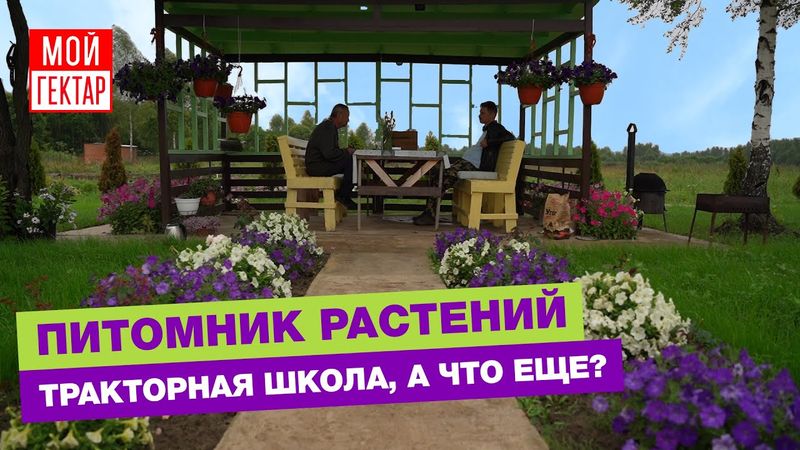 В ПОСЕЛКЕ ВСЕ БОЛЬШЕ СОСЕДЕЙ, ОБЗОР ГЕКТАРОВ | 5-Й ГОД РАЗВИТИЯ УСАДЬБЫ В ЗАВИДОВО | ОТ СОХИ ДО СОХИ