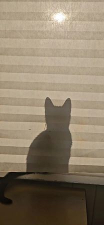 Моя любимая девочка встречает рассвет...видео случайное, но я не могу...