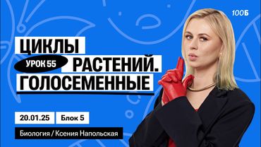 Циклы растений. Голосеменные | Биофак 2025 | Урок 55