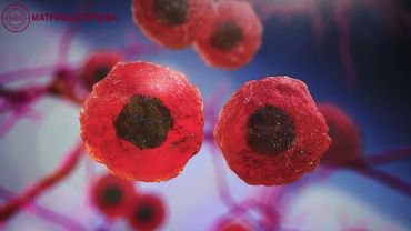 8 февраля -День российской науки! Звуковая матрица "Активатор клеточных реакций"