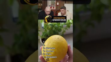 Попробуй не засмеяться🤣 #рекомендации #рек #юмор #смех #shorts