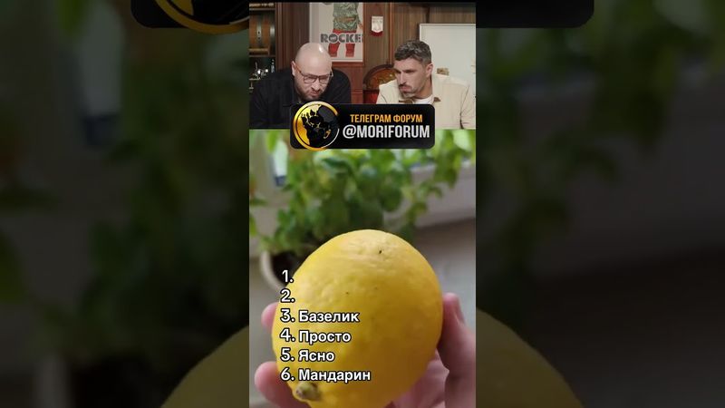 Попробуй не засмеяться🤣 #рекомендации #рек #юмор #смех #shorts