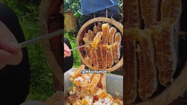 Самый ДРЕВНИЙ Вид Пчеловодства #шортс