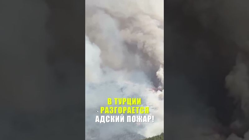 В Турции продолжаются масштабные лесные пожары