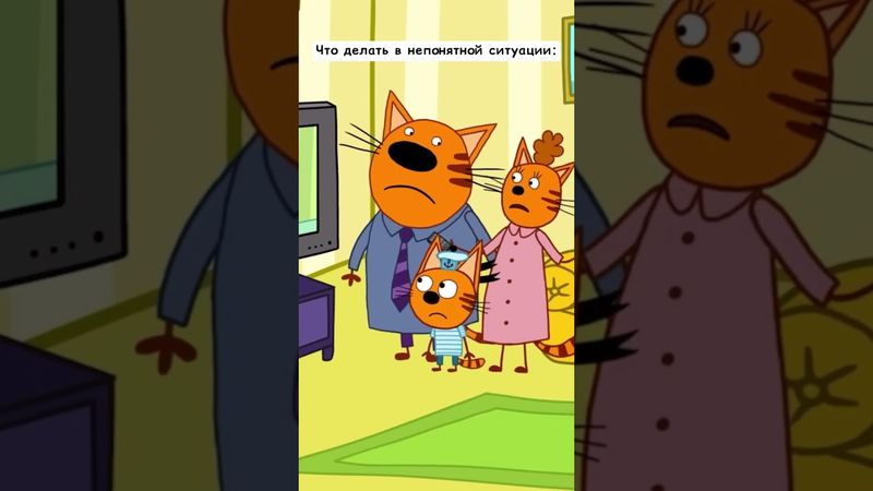 #ТриКота #ТриКотаМем #мультсериал #мем