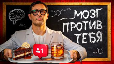 Удивительная правда о том, почему люди не меняются. Нейробиология привычек и провалов