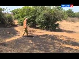 Рейтинг Баженова "Могло быть хуже" Белое солнце пустыни(№7).