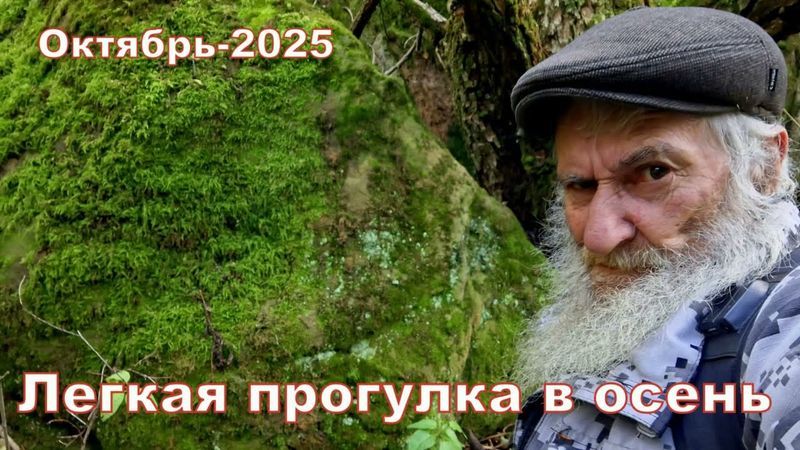 ПРОСТО ЛЕГКАЯ ПРОГУЛКА