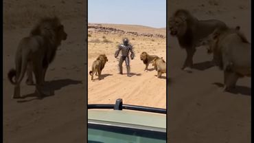 ein verrückter Cactus Mann 2 #music #horror #animals #horrorpodcast #podcastdeutsch #horrorstories