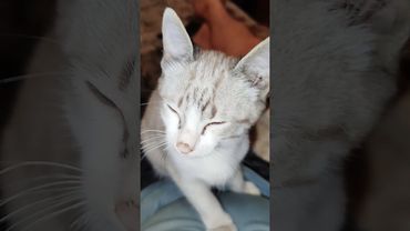 15 сентября 2025 г.