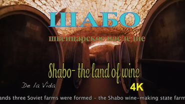 Шабо- центр культуры вина. Сыроварня. Shabo- land of wine. Ukraine.