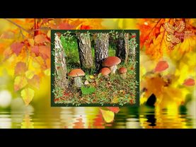 Братья Месяцы. 7 сентября  Тит и Варфоломей  Тит Грибник  Листопадник