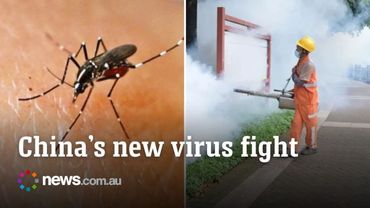 Thousands infected in China as mosquito virus explodes