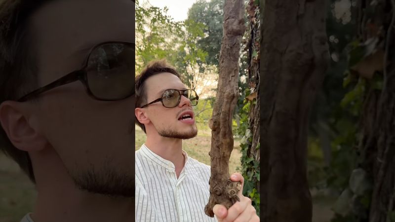 Мужчины и палки