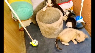 #Славянск. 27 июля 2025г. Утро.