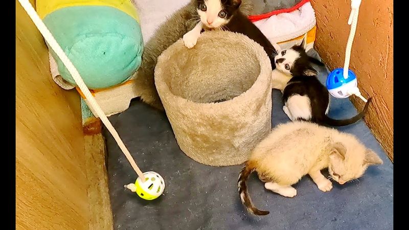 #Славянск. 27 июля 2025г. Утро.