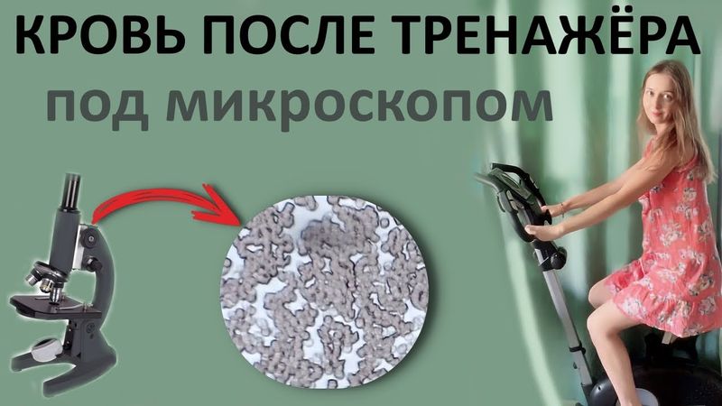 Как физ нагрузки влияют на состояние крови - разжижают или сгущают кровь?