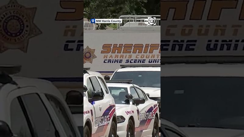 1 man dead in child custody dispute in northwest Harris County, sheriff said