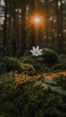 🕌Признаки чистого сердца! 