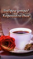 #утро #доброеутро #хорошегонастроения
