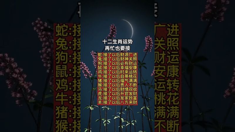 十二生肖运势再忙也要接！ #易经 #人生感悟 #運勢 #正能量 #十二生肖