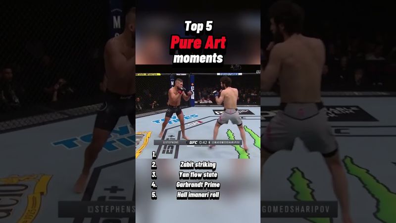 #art #ufc #mma #moments #youtubeshorts