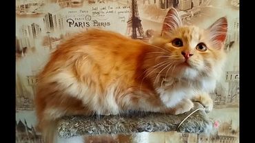 #Славянск. 7 октября 2025г. Вечер.