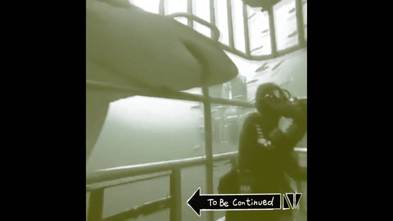 Shark to be continued...