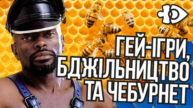 Гей-ігри, бджільництво та Чебурнет | Інфодоза #18