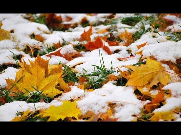 НАРОДНЫЕ ПРИМЕТЫ НА 7 ОКТЯБРЯ – ДЕНЬ ФЕКЛЫ ЗАРЕВНИЦЫ