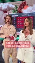 Коротко о прогнозе погоды в Беларуси в марте. #телевидение #TV #прико...