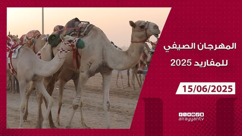 المهرجان الصيفي للمفاريد - 15-06-2025